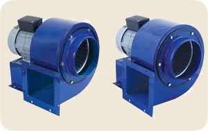 salyangozfan